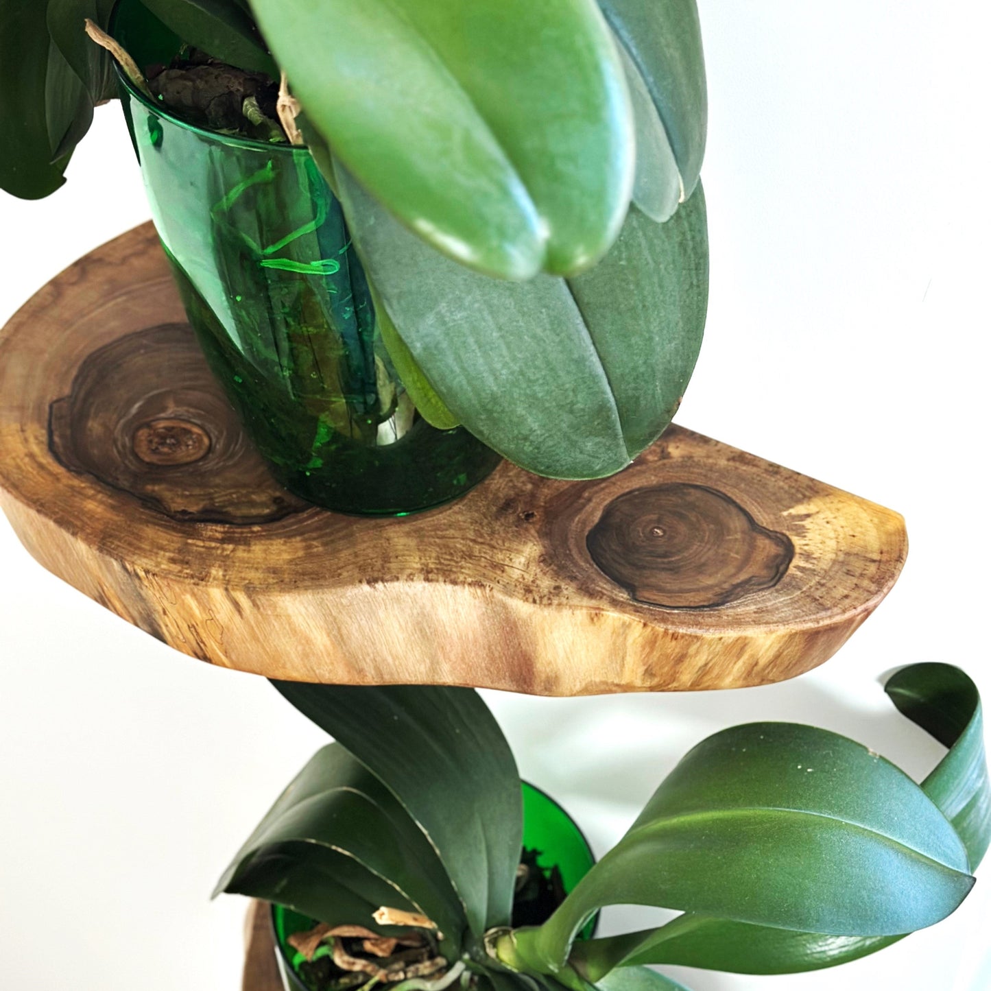 Natural walnut wood shelf perfect for living room or entryway