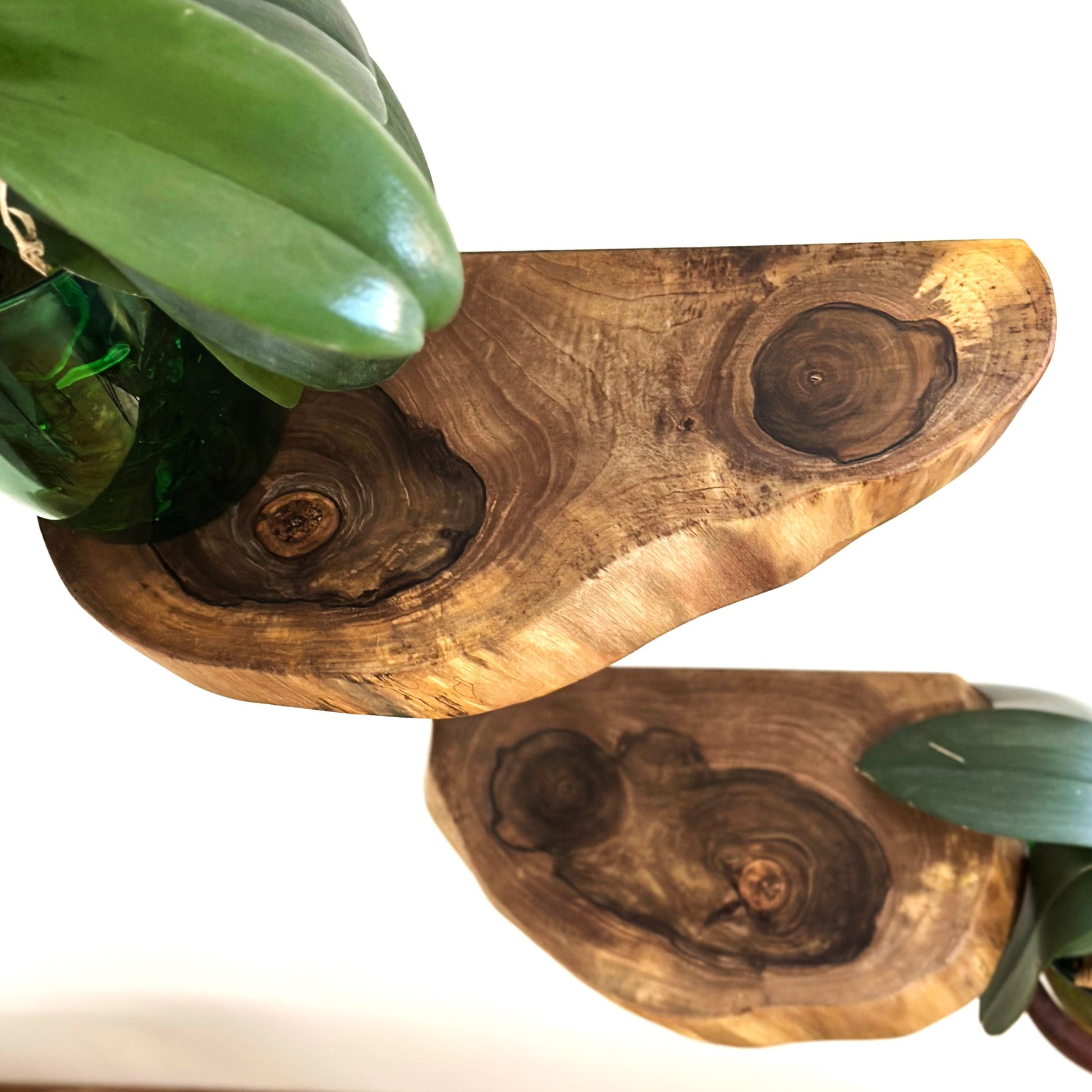 Handcrafted walnut floating shelf with live edge design