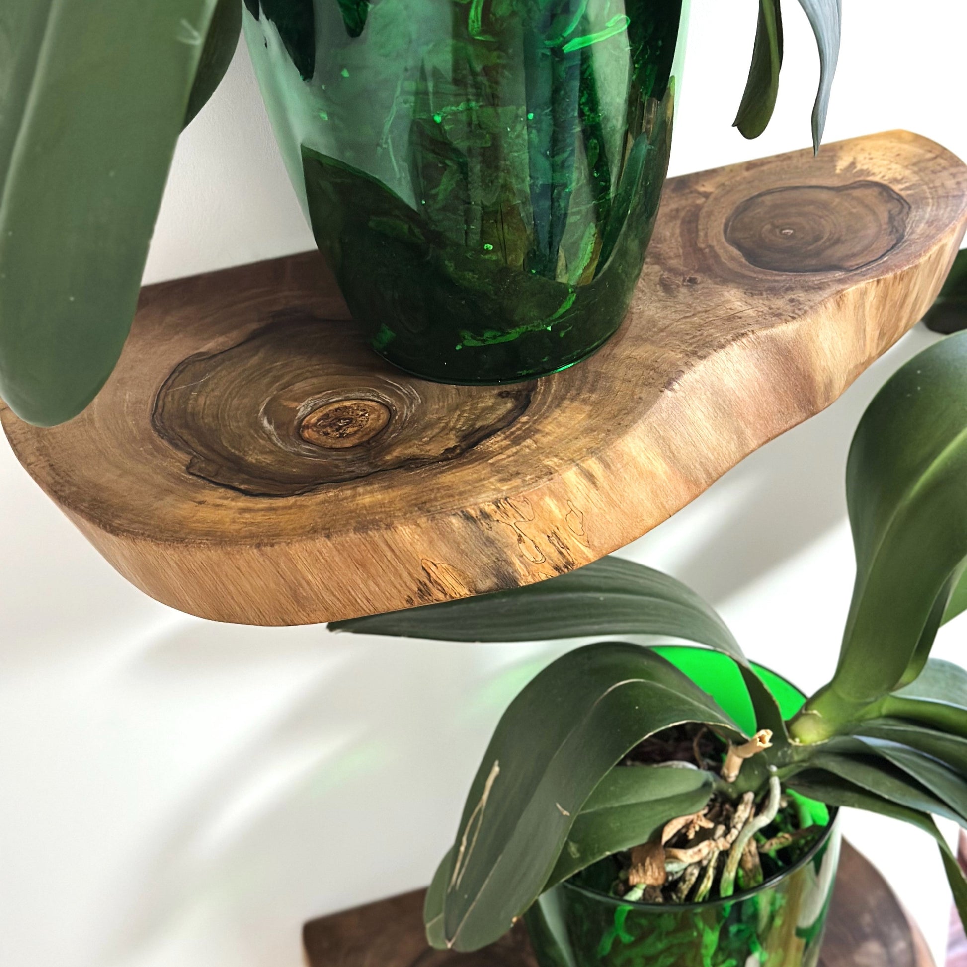 Handmade walnut wall shelf with smooth finish and rustic style