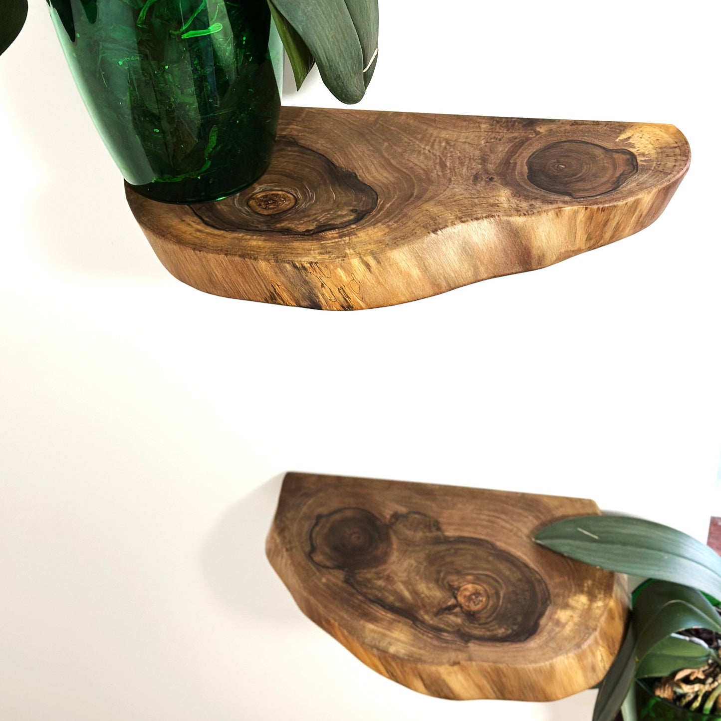 Live edge walnut shelves used for plants candles and decor